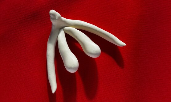 The Importance Of The Clitoris 1500x600