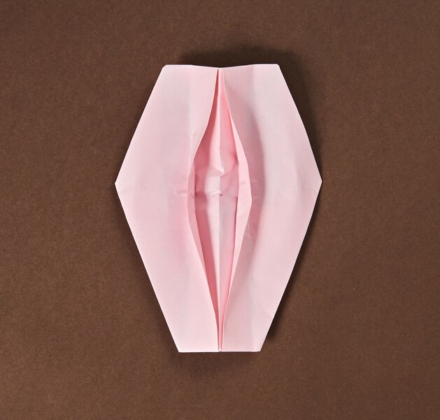 Vlv Origami Book