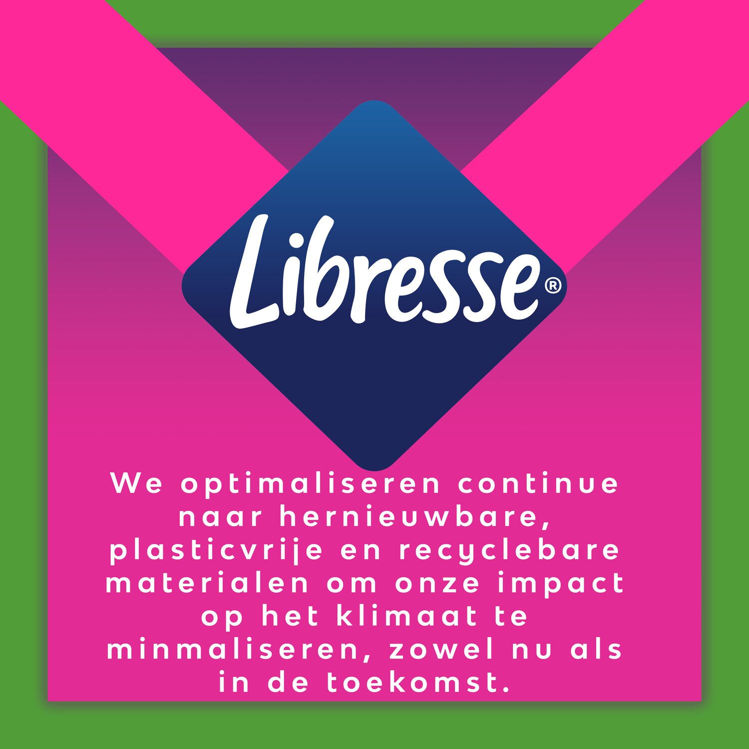 Pink Elephant Libresse Goodnight Ultra Large X10 Nl