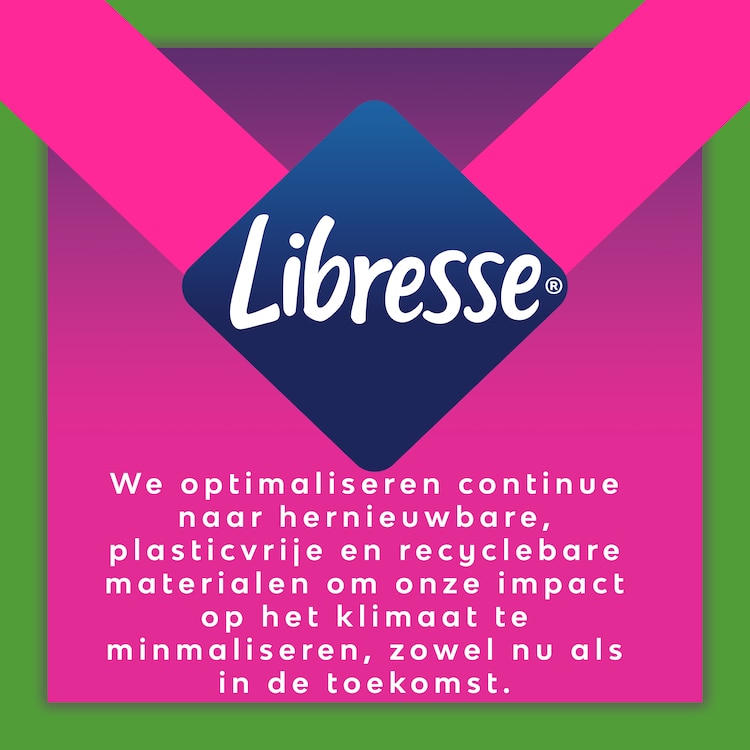 Pink Elephant Libresse Goodnight Ultra Large X10 Nl