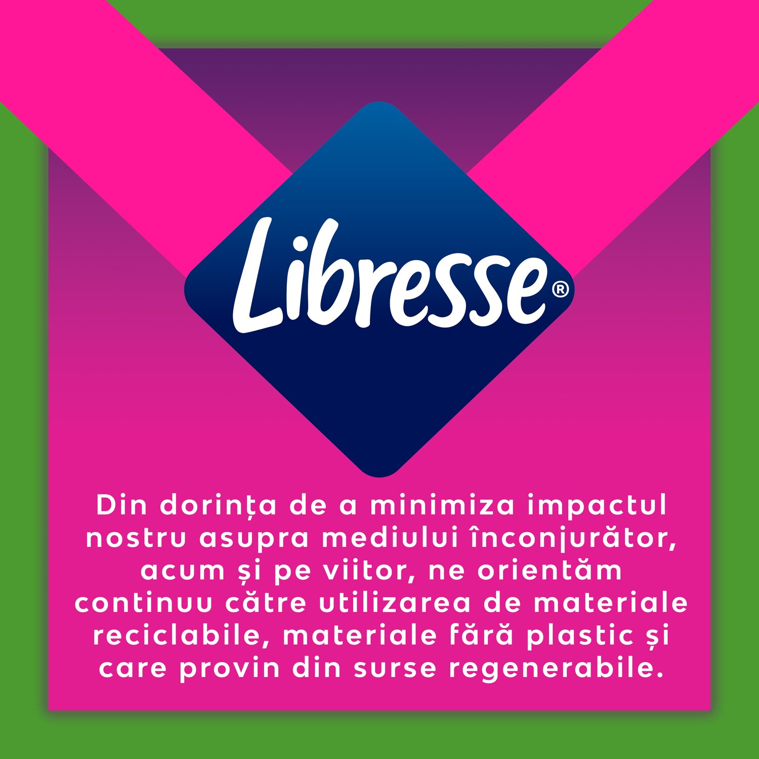 Pink Elephant Libresse Goodnight Ultra Large X10