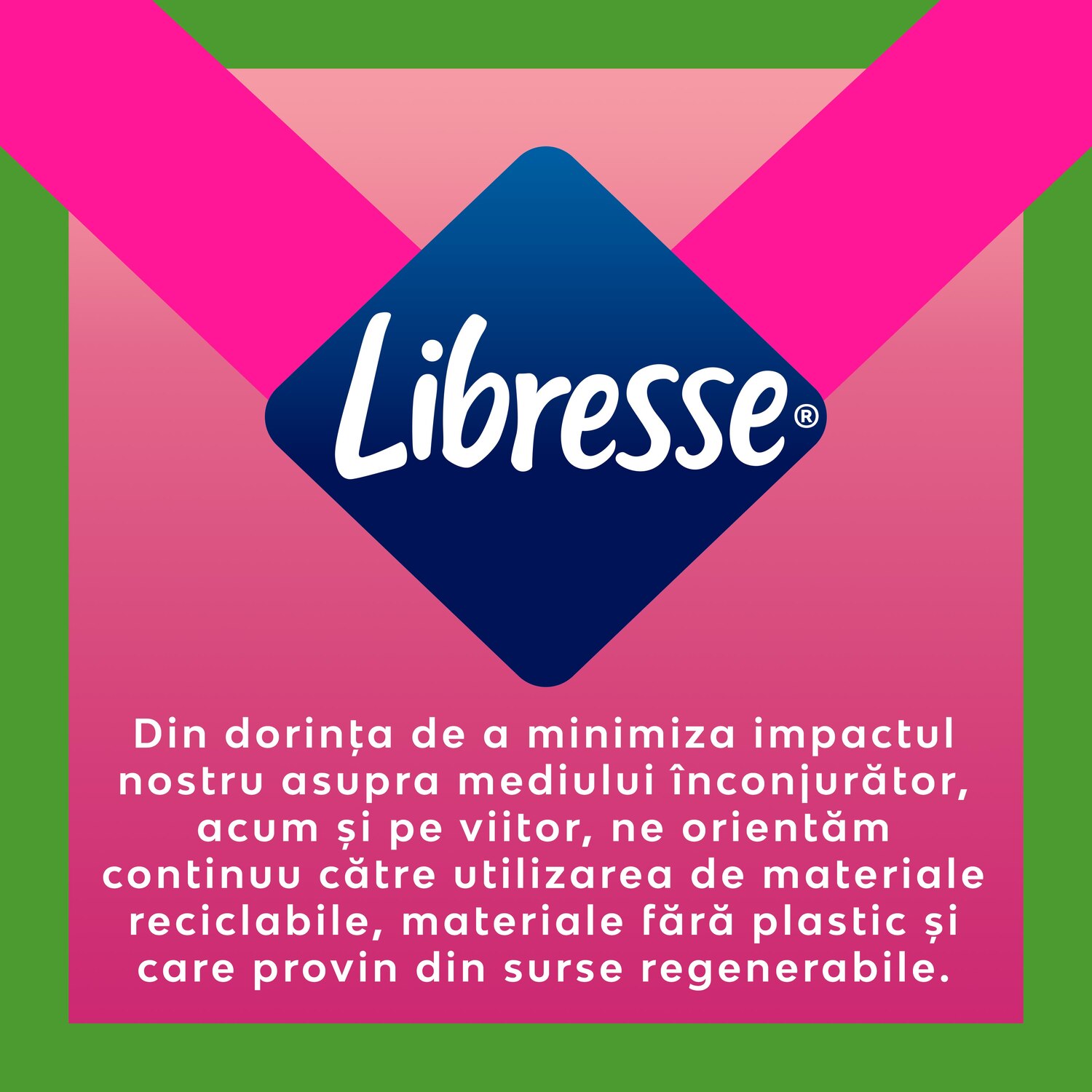 Pink Elephant Libresse Goodnight Ultra Large X10