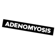 Bod Vaginauncensored Websitewords 295x295 Adenomyosis