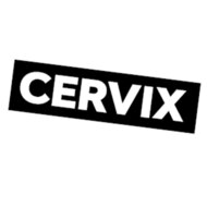 Bod Vaginauncensored Websitewords 295x295 Cervix