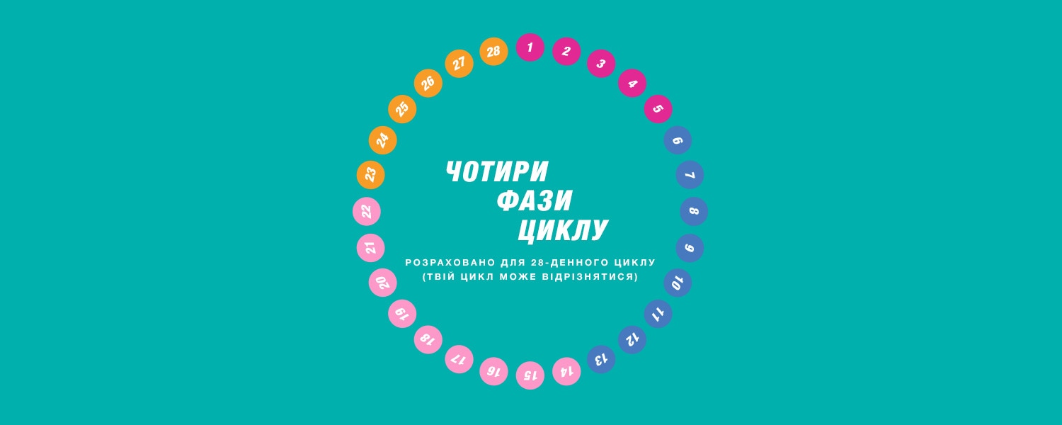 Чотири етапи циклу