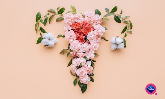 Whats The Role Of The Endometrium