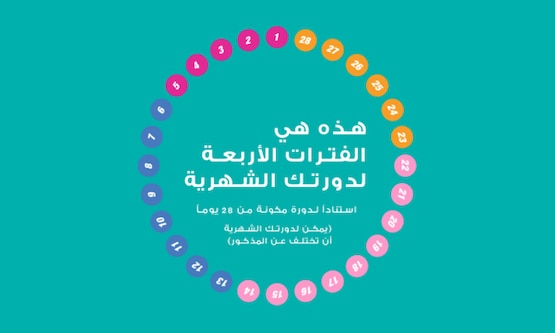 المراحل الأربع للدورة الشهرية