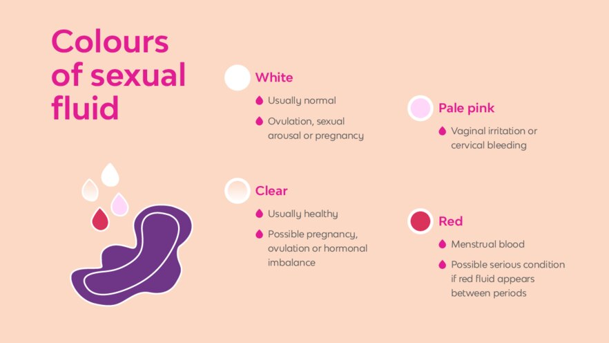 Whats In My Knickers Sexual Fluid Colour 16x9
