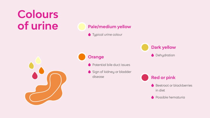 Whats In My Knickers Urine Colour 16x9