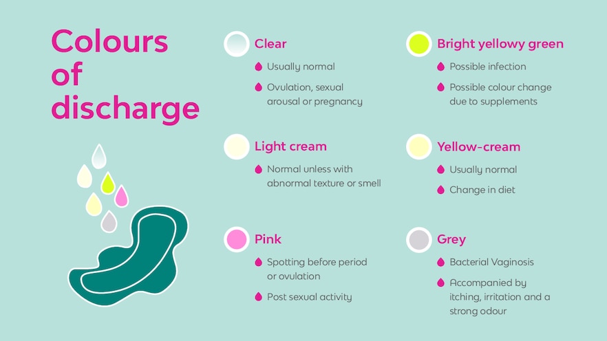Bodily Fluids A Guide To What S In Your Knickers Bodyform Bodyform