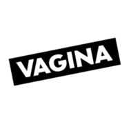Bod Vaginauncensored Websitewords 295x295 Vagina