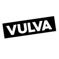 Bod Vaginauncensored Websitewords 295x295 Vulva