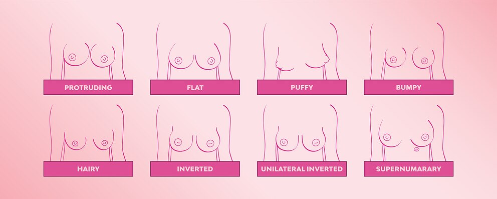 Nipple Facts