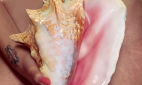 Article Gallery Vulva Shame Desktop