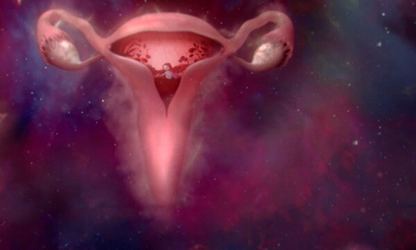 Article Gallery Wombstories Desktop