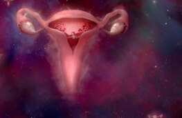 Article Gallery Wombstories Desktop