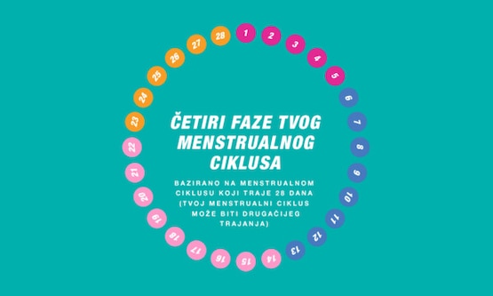 Četiri faze menstrualnog ciklusa