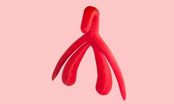 What Is The Clitoris 1500x600