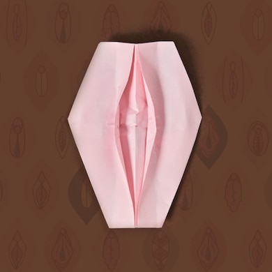 Pink vulva origami against brown background