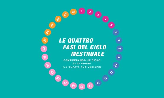 Immagine delle quattro fasi del ciclo – Nuvenia