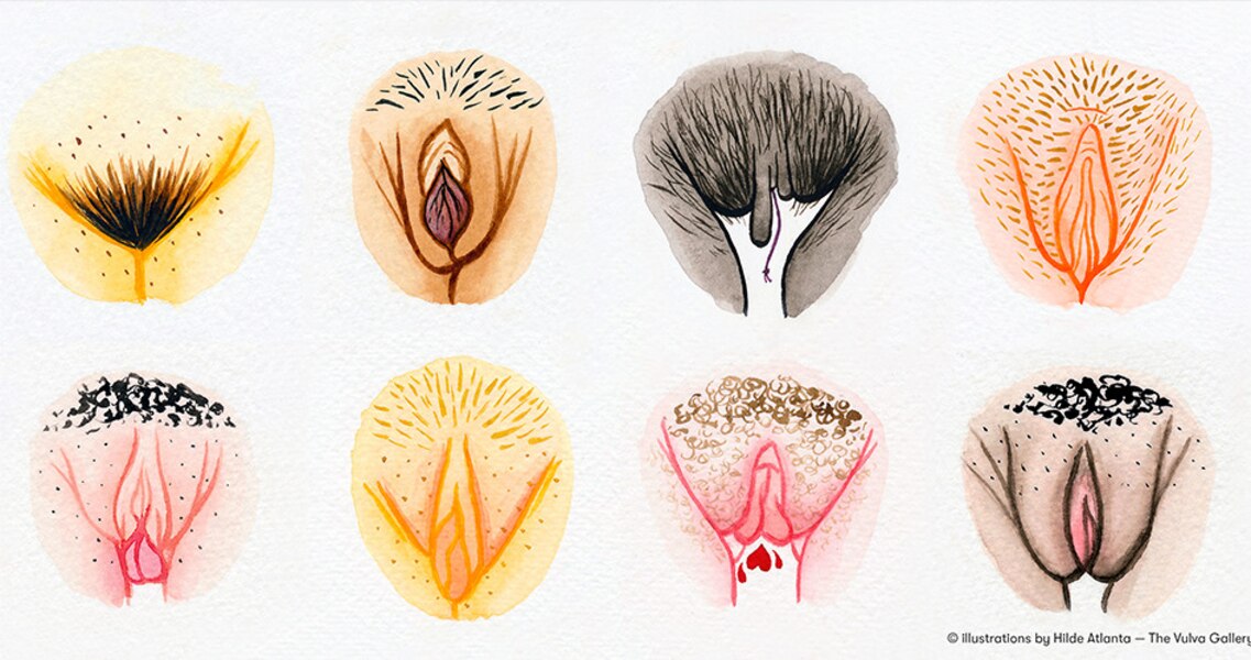8 vulva illustrations by artist Hilde Atalanta