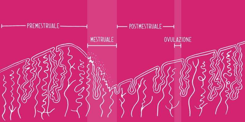 15 Giorni Prima Del Ciclo Si Puo Rimanere Incinta