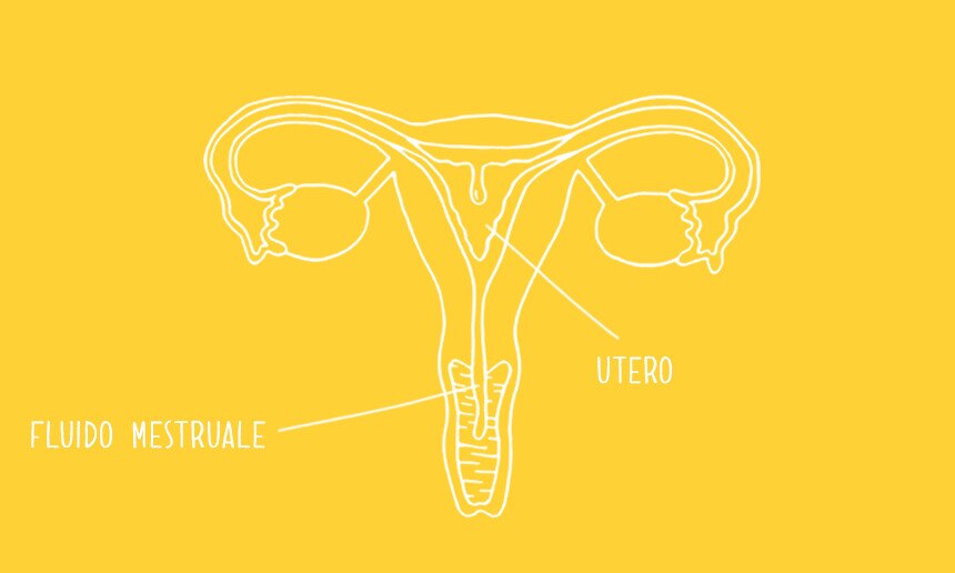 Il tuo primo ciclo