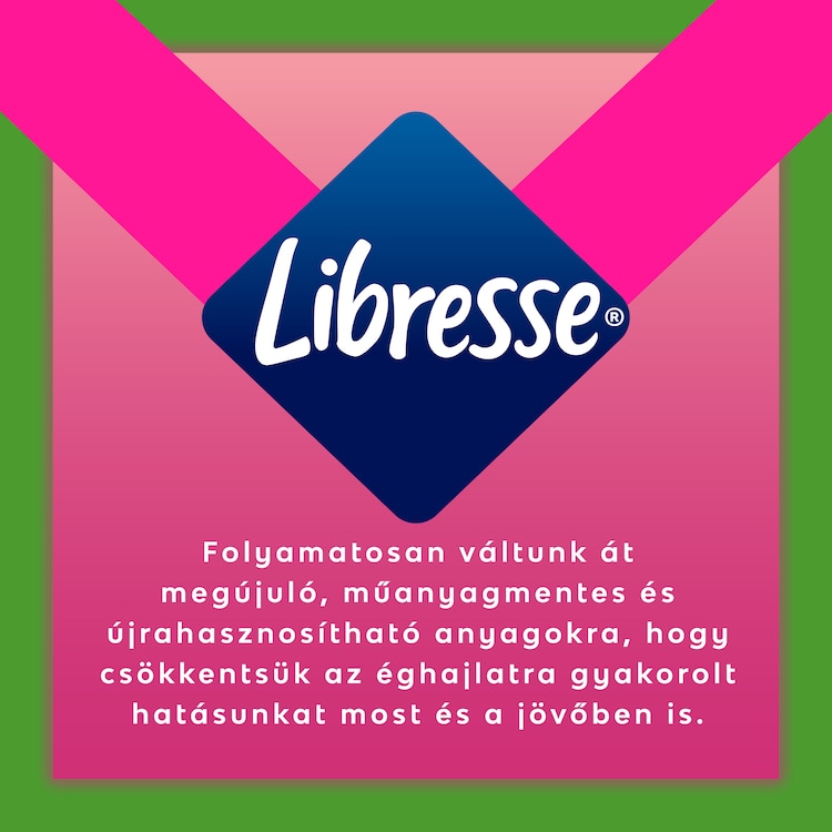 Hu Pink Elephant Libresse V Protect X14