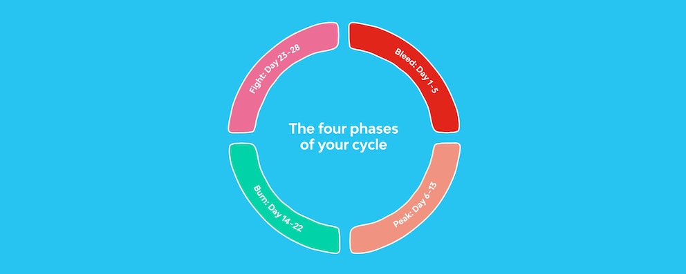 A diagram showing the four phases of your menstrual cycle that are bleed day (day 1-5), peak day (day 6-13), burn day (day 14-22) and fight day (day 23-28)