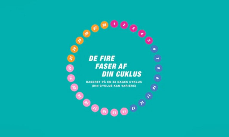 En illustration af de fire faser i menstruationscyklussen