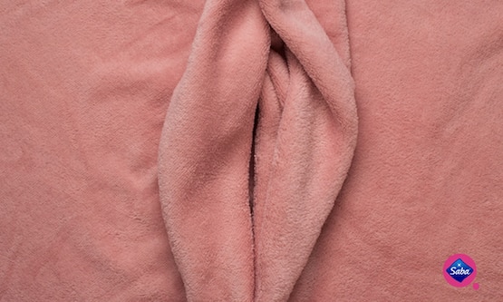 Perfect Vulva 1500x600