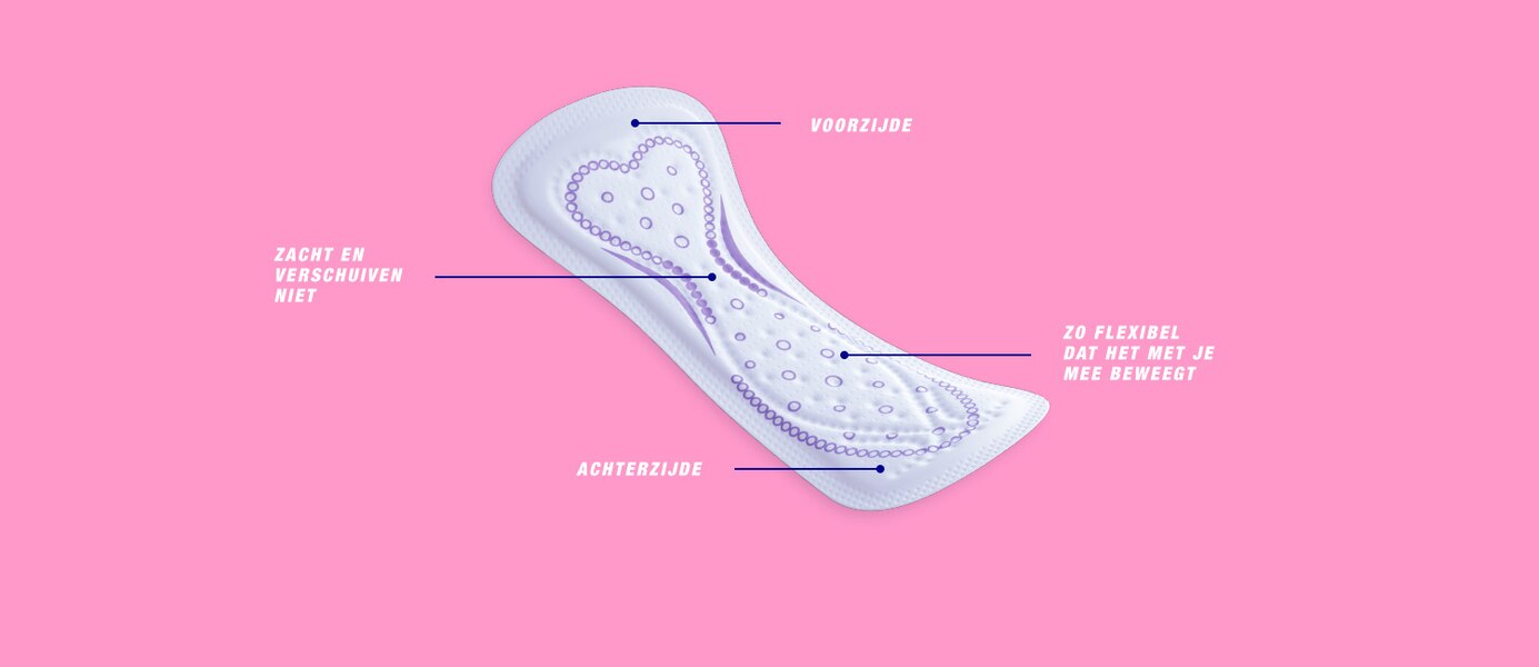 1500x650_curvefit_features-NL.png