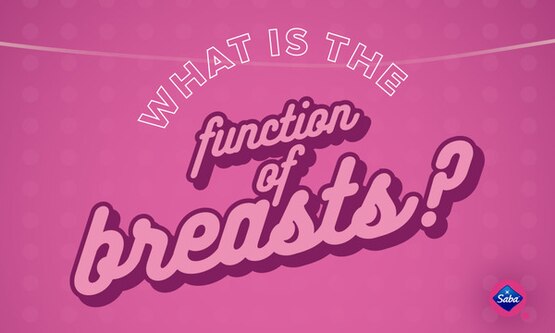 What is the Function of Breasts?