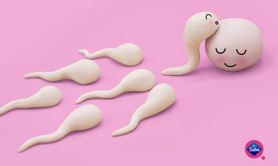 How Does Ovulation Work